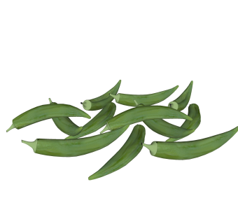 现代刀豆蔬菜草图大师模型，蔬菜食品sketchup模型下载