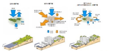 滨水公园规划设计方案