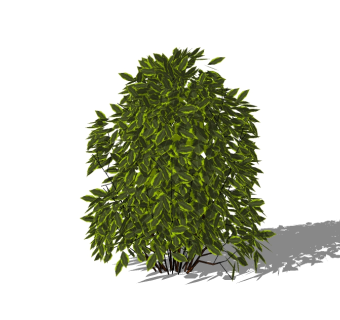 金边黄杨灌木从su模型免费下载，灌木地被skb模型分享