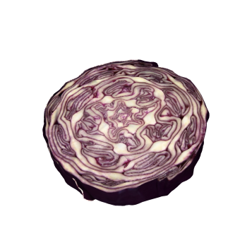 现代蔬菜洋葱草图大师模型，蔬菜食品sketchup模型下载
