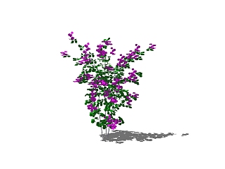 现代<em>植物花卉</em>sketchup模型免费下载，<em>花卉</em>草图大师模型