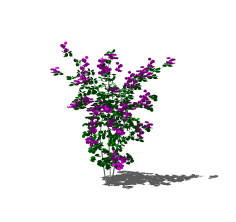 现代植物花卉sketchup模型免费下载，花卉草图大师模型