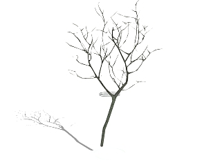 枯树树干盆景 sketchup模型，枯树<em>盆景SU模型</em>下载