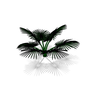 现代铁树草图大师模型，植物树sketchup模型下载