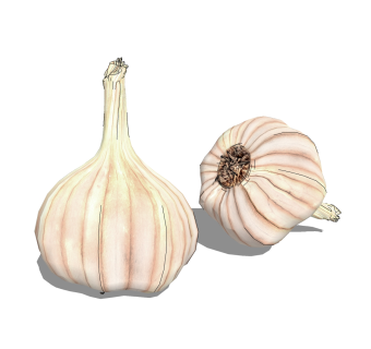 现代蔬菜su模型,食物sketchup模型下载
