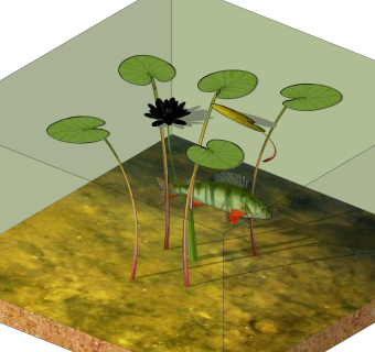 鱼缸睡莲sketchup模型，鱼缸景观植物skp文件下载