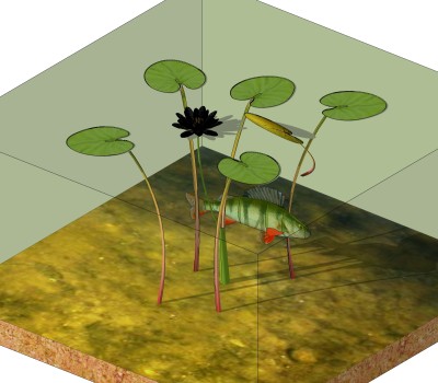 鱼缸睡莲sketchup模型，鱼缸景观植物skp文件下载