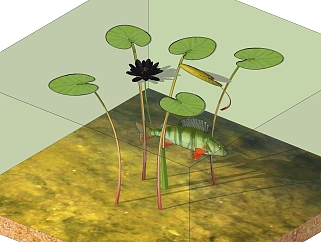 鱼缸睡莲sketchup模型，鱼缸<em>景观</em>植物skp文件下载