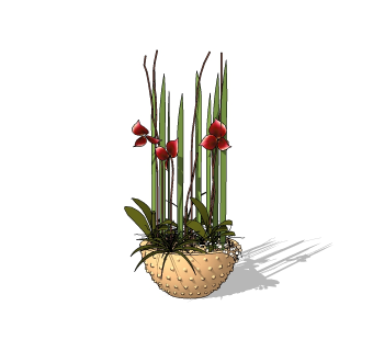 植物组合盆栽sketchup模型下载，植物组合盆栽草图大师模型
