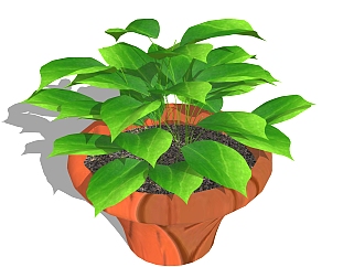 <em>现代室内</em>植物草图大师模型，室内植物SKP模型下载