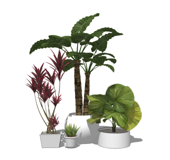 现代风格盆栽sketchup模型下载