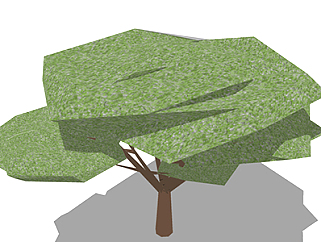 栾树乔木su素材，景观绿植草图大师模型下载