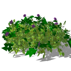 电灯花灌木从草图大师模型免费下载，灌木地被su模型下载