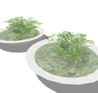精品水培植物su模型集下载