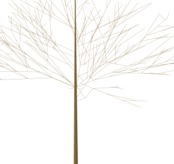 枯树树干盆景sketchup模型下载，树干盆景skb模型分享