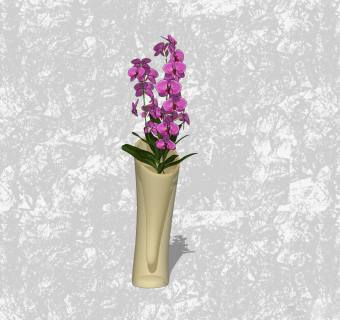  蝴蝶兰插花草图大师模型，花艺花瓶sketchup模型下载