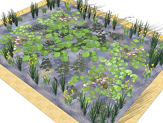 莲花池sketchup模型，水生<em>花卉</em>景观植物skp文件下载