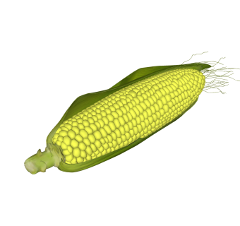 现代玉米草图大师模型，食品sketchup模型下载