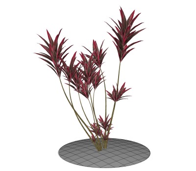 朱蕉绿植sketchup模型，现代观叶植物skp文件下载