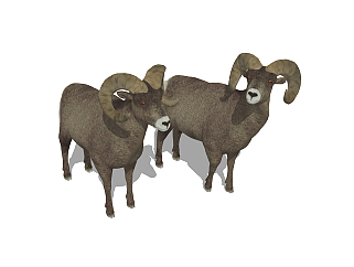 <em>现代</em>山羊动物草图大师模型，山羊动物sketchup模型下载