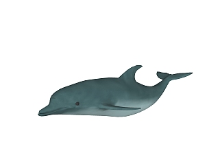 现代<em>海豚</em>sketchup模型，动物草图大师模型下载