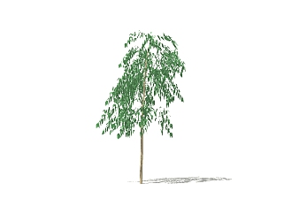 现代<em>景观树</em>草图大师模型，白杨树sketchup模型