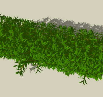 现代地表绿植草图大师模型，地表绿植sketchup模型下载