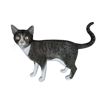 现代猫sketchup模型，动物草图大师模型下载