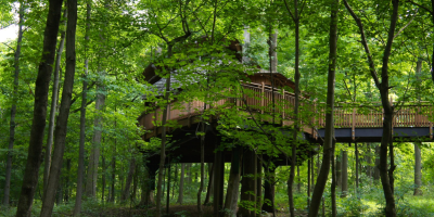 [河南]洛阳大白云<a href=https://www.yitu.cn/su/8101.html target=_blank class=infotextkey>山</a>西区旅游概念规划及起步区<a href=https://www.yitu.cn/su/7798.html target=_blank class=infotextkey>城市</a><a href=https://www.yitu.cn/su/7590.html target=_blank class=infotextkey>设计</a> A-1森林木屋