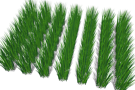 百慕大草植物su模型，绿植草丛草图大师模型下载