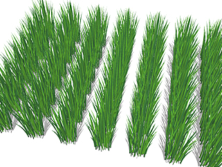 百慕大草植物su模型，绿植草丛草图大师模型下载