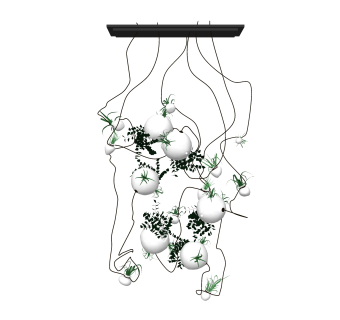花艺吊灯草图大师模型，创意绿植吊灯效果图su模型下载
