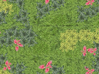 波斯顿蕨植物墙sketchup模型，<em>室内植物</em>墙skp文件下载