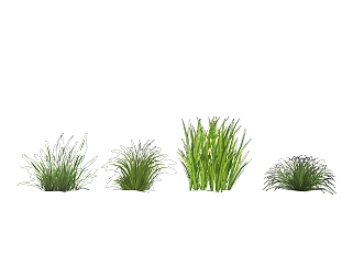 鸢尾绿植sketchup模型，室内观叶植物skp文件下载