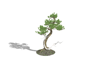<em>中式</em>松树盆栽免费su模型，松树盆栽草图大师模型下载