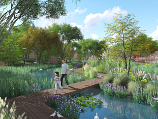 特色生态湿地公园景观规划设计文本