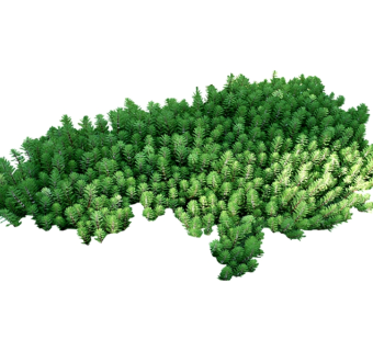 狐尾藻草图大师模型，sketchup植物草模型下载
