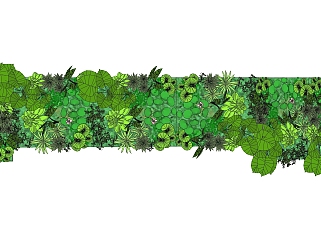 虎耳草植物墙sketchup模型，室内植物墙skp文件下载