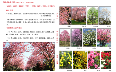 <a href=https://www.yitu.cn/sketchup/zhiwu/index.html target=_blank class=infotextkey><a href=https://www.yitu.cn/su/7836.html target=_blank class=infotextkey>植物</a></a><a href=https://www.yitu.cn/su/7590.html target=_blank class=infotextkey>设计</a>