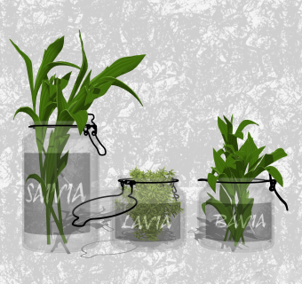 富贵竹插花草图大师模型，花艺花瓶sketchup模型下载