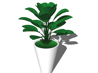 现代<em>室内</em>植物草图大师模型，<em>室内</em>植物SKP模型下载