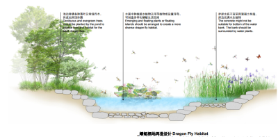 [江苏]南京生态科技岛首期市政景观<a href=https://www.yitu.cn/su/7590.html target=_blank class=infotextkey>设计</a>（现代风格）B-3生物栖息<a href=https://www.yitu.cn/su/7872.html target=_blank class=infotextkey>地</a>多样化