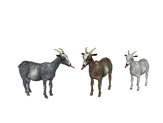 现代<em>野</em>山羊草图大师模型，动物sketchup模型下载