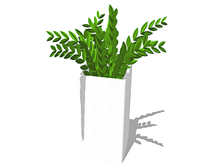 雪铁芋盆栽sketchup模型，手绘绿植草图大师模型下载