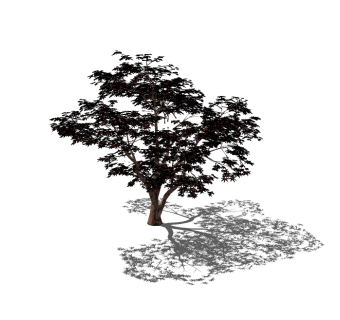 现代红枫sketchup模型免费下载，景观树草图大师模型