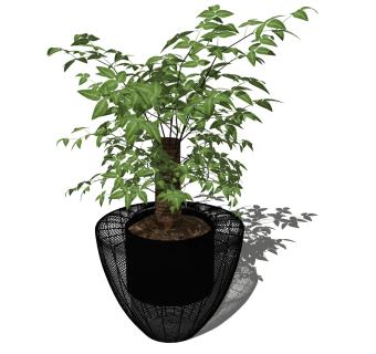 现代植物盆栽草图大师模型，发财树sketchup模型下载