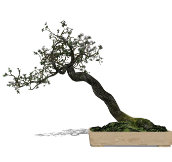 中式盆景摆件草图大师模型,现代装饰品su模型下载