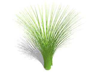 蓝羊茅现代植物su模型，绿植花草图大师模型下载
