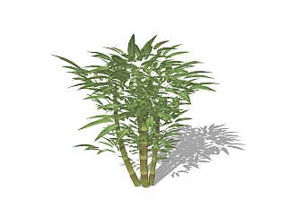 现代竹子skb模型分享，竹子草图大师模型下载