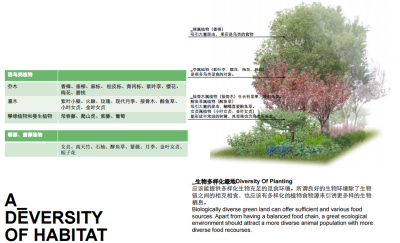 [江苏]南京生态科技岛首期市政景观<a href=https://www.yitu.cn/su/7590.html target=_blank class=infotextkey>设计</a>（现代风格）B-1生物栖息<a href=https://www.yitu.cn/su/7872.html target=_blank class=infotextkey>地</a>多样化